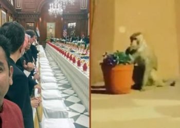 Donald Trump के साथ यह बंदर भी पहुंचा राष्ट्रपति भवन के शाही भोज में, A.R.Rahman ने शेयर किया वीडियो