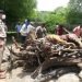 मुकंदरा हिल्स टाइगर रिजर्व में बाघ एमटी-3 का निधन पगमार्क फाउंडेशन ने जताया शोक