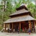 हिडिंबा देवी मंदिर Hadimba Devi Temple Manali