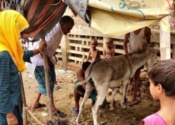 pooja kaul organiko : Soap made from donkey milk sells in thousands
