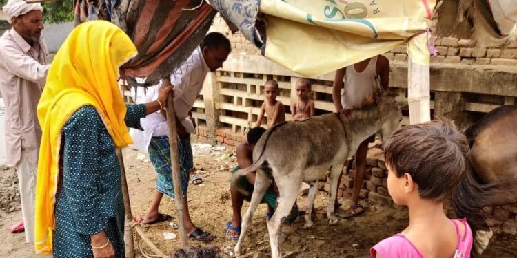 pooja kaul organiko : Soap made from donkey milk sells in thousands