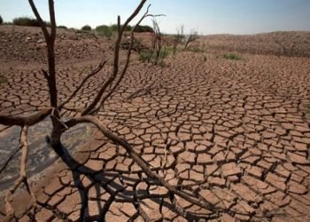 राजस्थान के अधिकांश शहरों में अकाल की स्थिति, किसान परेशान