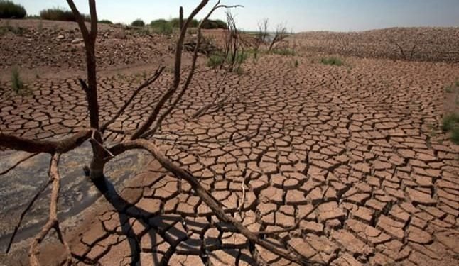 राजस्थान के अधिकांश शहरों में अकाल की स्थिति, किसान परेशान