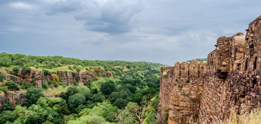 रणथंभौर राष्ट्रीय उद्यान (Ranthambore National Park)