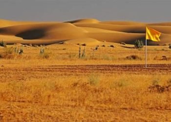 राष्ट्रीय मरू उद्यान वन्य जीव अभ्यारण जैसलमेर (Desert National Park Jaisalmer)