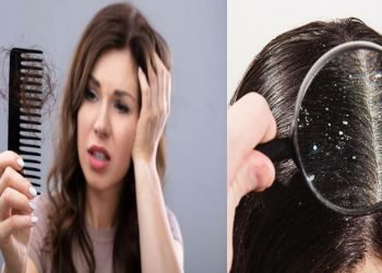 Hair Fall Solution in Hindi