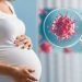 गर्भवती महिलाओं pregnant women during the Corona period