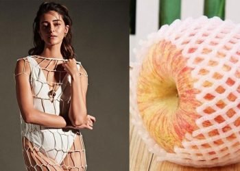 Ananya Pandey Bold Picture  – बॉलीवुड की अभिनेत्री अनन्या पांडे हुई इंस्टाग्राम पोस्ट को लेकर ट्रोल