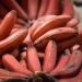 Red Banana Benefits : बहुत कम लोग जानते होंगे लाल केले के फायदों के बारे में