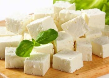 Diet Tips – कच्चे पनीर का सेवन करने के यह है फायदे