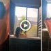 Nitya Shetty Viral Video