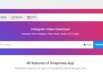 Online Instagram Reels Download