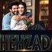 SHEHZADA Release Date, Cast & Crew, Box Office Collection & More