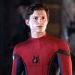 tom holland biography