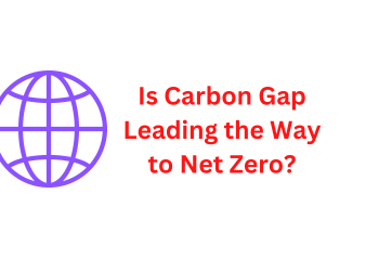 Is Carbon Gap Leading the Way to Net Zero
