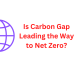 Is Carbon Gap Leading the Way to Net Zero