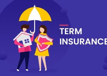 Regulatory Trends in Term Insurance and Their Impact on Policyholders and Insurers