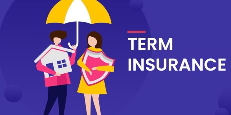 Regulatory Trends in Term Insurance and Their Impact on Policyholders and Insurers