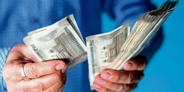 From Bottom to Top How CGTMSE Loans Help MSME Business Thrive