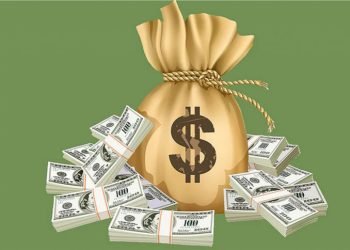 Step-by-Step Guide to Availing a Loan Against Your PPF Account