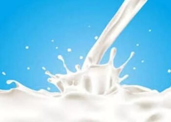 Milk Theft Near Jaipur