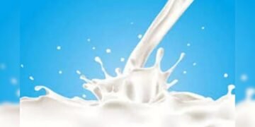 Milk Theft Near Jaipur