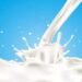 Milk Theft Near Jaipur