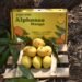 How to Identify and Buy Alphonso Mango for Maximum Freshness