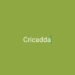 CricAdda