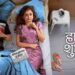 Hardik Shubheccha Marathi Film Box Office Collection day 2 & 3, hit or flop?