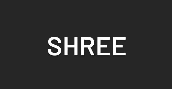 Shree Gujarati Film Release Date, Cast & Crew, Budget, Storyline and many more