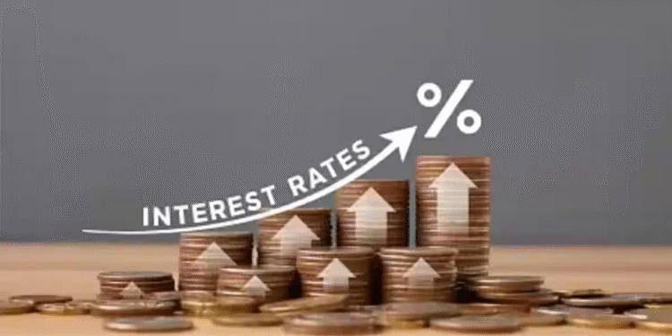 Compare Highest FD Rates