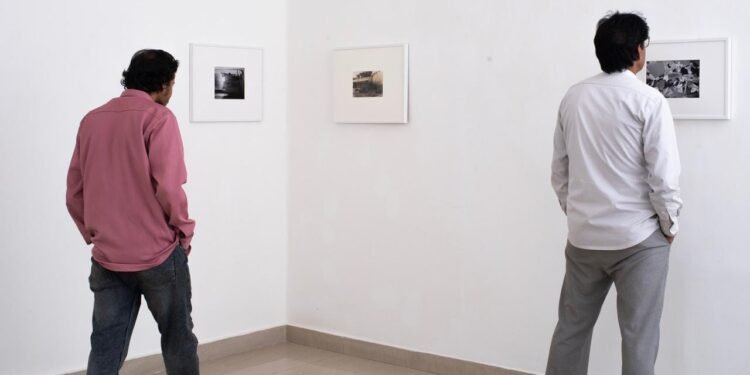 Artist Vani Bhushan Explores Memory and Perception in “Partial View” at Triveni Kala Sangam