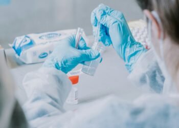 The Heptapeptide Agent in Neuroscience Research