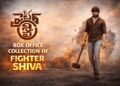 Fighter Shiva Telugu Film Box Office Collection Day 1, Hit or Flop?