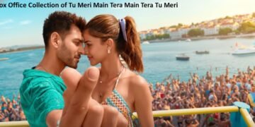 Tu Meri Main Tera Main Tera Tu Meri Bollywood Film Box Office Collection Day 1, Hit or Flop?