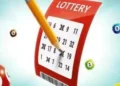 How Dear Lottery Results Are Organized and Checked Daily in India