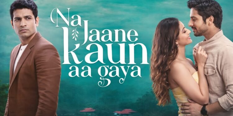 Na Jaane Kaun Aa Gaya Hindi Film Release Date, Cast & Crew, Budget, Storyline and many more